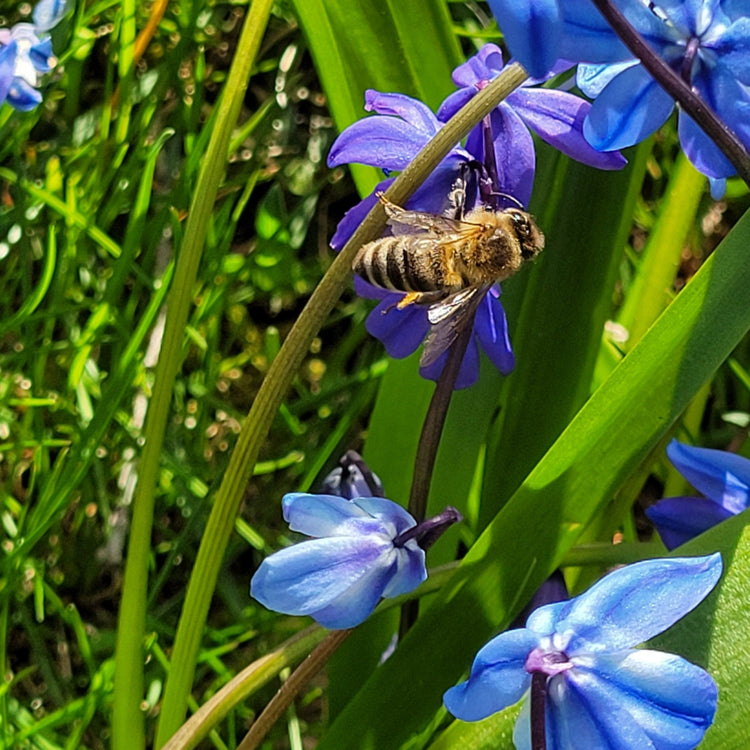 PresentKit & MiniKit